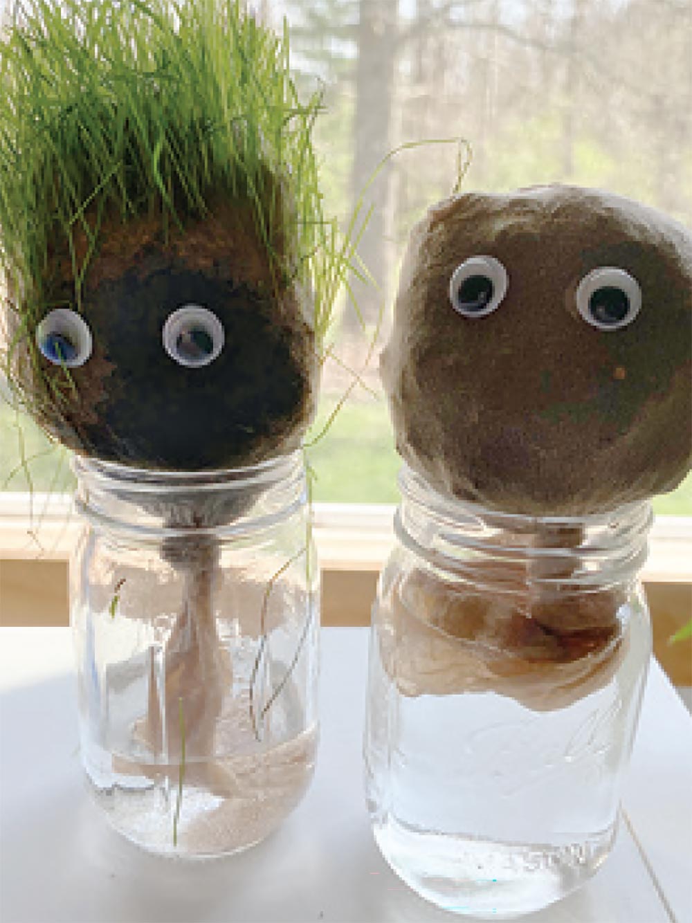 Growing a Grass Head